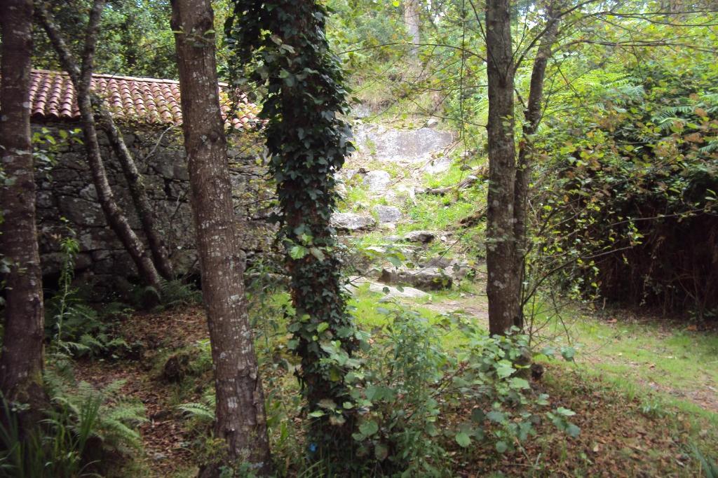 فندق Casa Fuentes بويو المظهر الخارجي الصورة